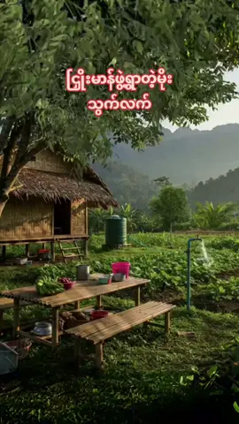 #ငြှိုးမာန်ဖွဲ့ရွာတဲ့မိုး #သွက်လက် #မြန်မာသံစဥ်များကိုချစ်မြတ်နိုးသူ😘 #ခံစားနားဆင်နိုင်ကြပါစေ🎧🌺 #ရွှင်လန်းချမ်းမြေ့ကြပါစေ😘😘😘 #မူရင်းကိုcrdပေးပါတယ် #foryoupage #fypシ゚ #LearnOnTikTok 