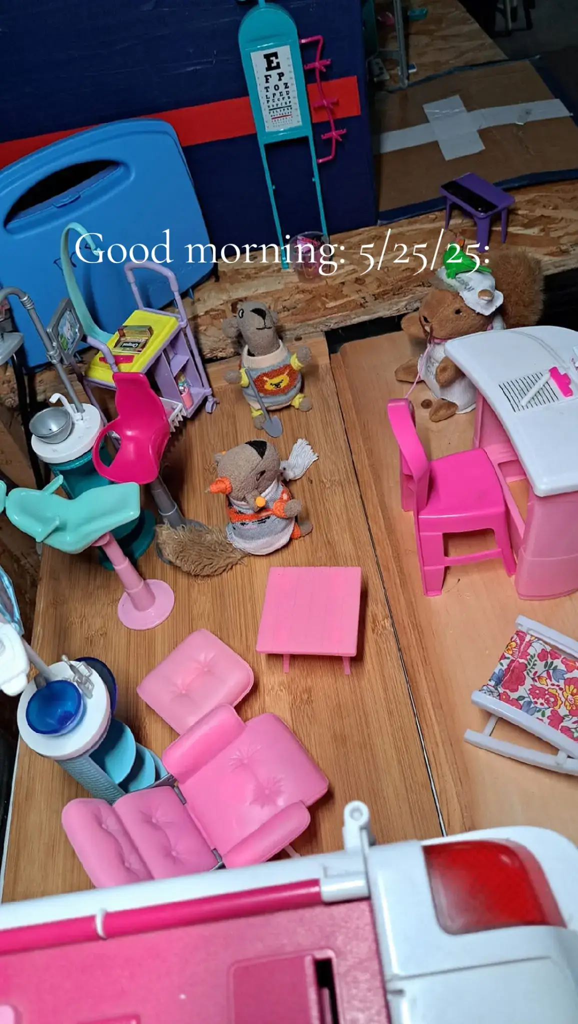 Who remembers when Baby Jill was born? What an exciting time.  👋🏻Good morning friends❤️Happy Sunday 🧡May 25th 💛We woke to 🖤a cloudy sky🩶this morning🏡 It's 44° right now and chilly outside 🩵Where has our sunshine gone🤎 We are hoping it comes back soon🪴How's the weather where you are this morning 💜We hope you are having a nice start to your day🩷The Princess👑🐶🐾  her girls🐿🐿and I ✍️are planning on having a good day💚 no matter what comes our way🌻How about you?🌾Being Sunday the Princess wants to remind you to think of happy family memories and if you can to spend time with or call your family today 🌴In today's story🌲I will tell you about the Princess & her girls 🌳having a special meal together and a talk about the girls moving to Peablyville 🍃I will share that story midday today with you🫶 No Live Morning Show today 🖤There will be on Tuesday 🩶 May 27th🤍7:30am Facebook & 7:45am TikTok 🫂Maine Time 🤗We will have a Live Evening Show tonight Sunday May 25th at🫶4:30pm on Facebook💙 & 4:45pm on TikTok❤️Make the most of your day🧡Smile big & feel good about you and💛make good choices for you🍃Take care of you😊Thank you for being our friend👑🐶🐾and stopping in to visit🐿🐿Bye for now✍️We send you snuggly 🫂 hugs🤗 and friendly kisses😙 Love your Maine family🏡 Princess Foxy Lady  of Peablyville🌳Maine🌲 Annie 🌻and 🌾Natalie  and me, Darcie Mae 🫶