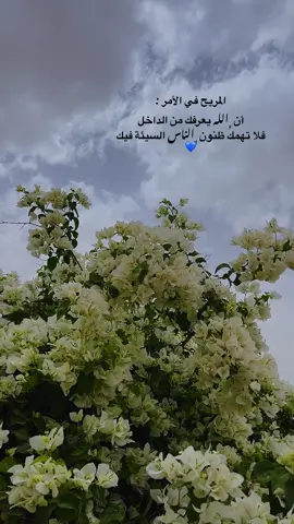 #VNVideoEditor  …آخر اقتباس نسخته #الانبار #الرمادي_شموخ_عزالانبار #الرمادي_الاٴنبار #الانبار_القائم #محافظات_العراق #foryou 