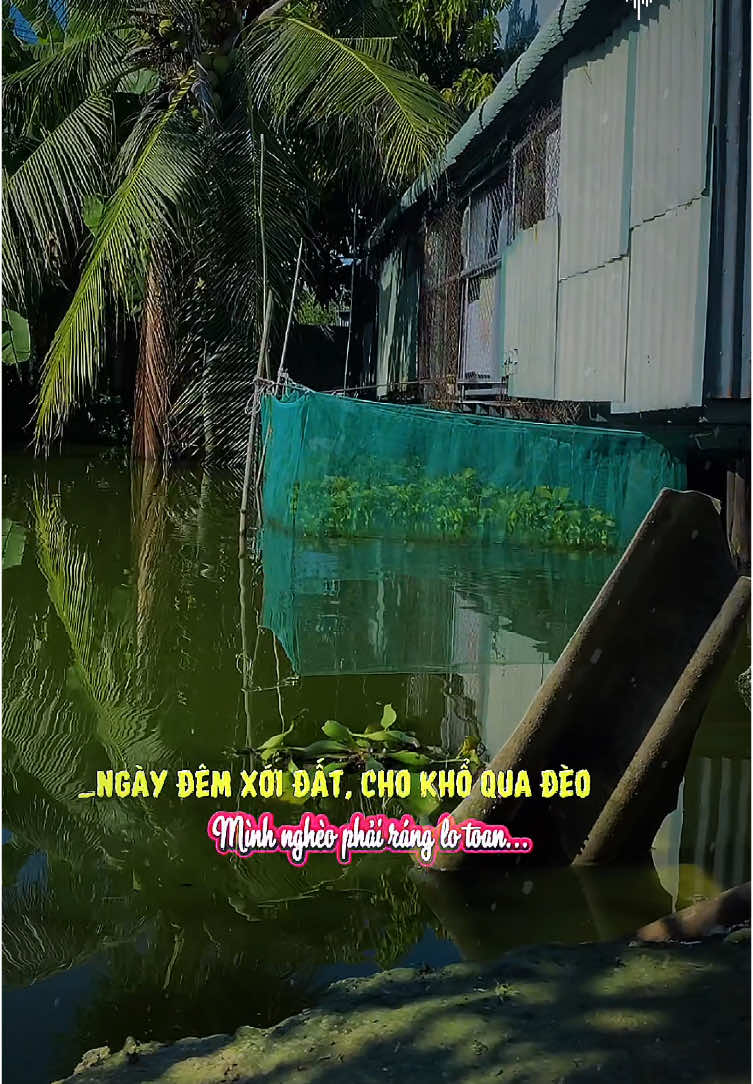 Tình đắng Khổ Qua #nhachay #nhacnayhay #nhachaymoingay❤️ #nhactamtrangbuon💔 #nhacnaynghelanghien #nhacchillphet🎶 #lyricsvideo #xuhuongtiktok #fyp #xh #triinnhchiien 