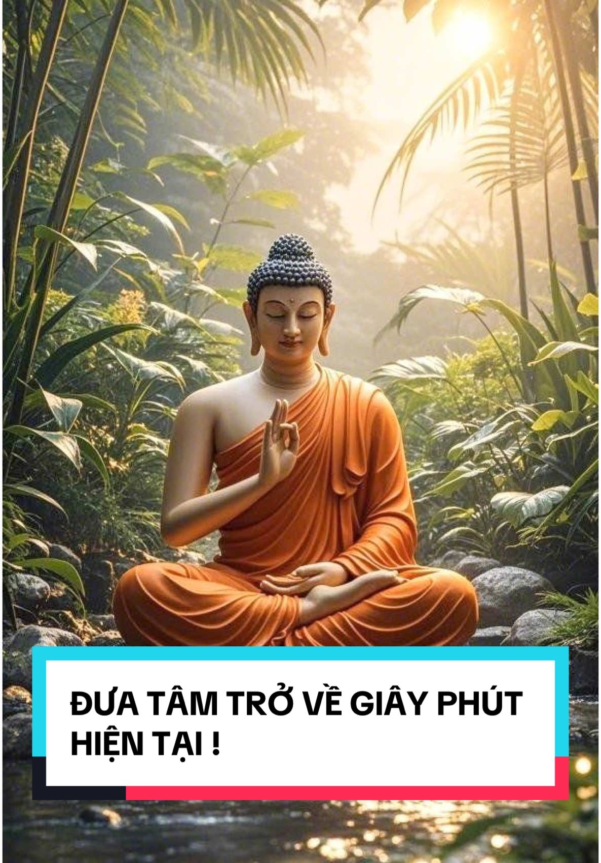 HÃY ĐƯA TÂM MÌNH TRỞ VỀ GIÂY PHÚT HIỆN TẠI ĐỂ LÒNG ĐƯỢC AN YÊN ! #xuhướng  #phatphapnhiemmau #phatphapvobien #Thinhhanh #phatphaptrongtoi #Trietlygiaoductangoc #affiliate#affiliatemarketing