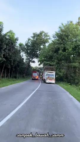 sam kukuh 🤙🔥#trukmaniaindonesia #tebu #oleng_parah #truklovers #truktebu #gasrukkgenk #giga #fypシ゚ #fyppppppppppppppppppppppp @kukuh_indrawan_04 