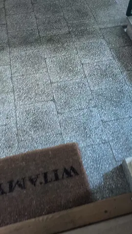 дура какая то 🐭🐁😕 