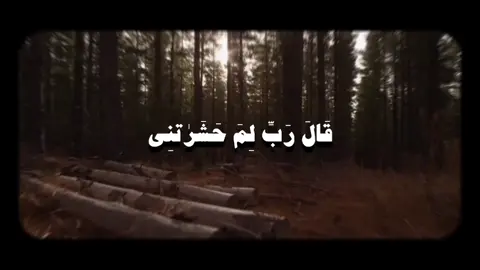 #قران #قران_كريم #quran #علي_جابر #qoran سورة طه