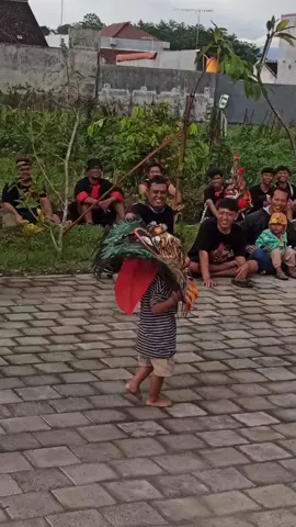 reog cilik enek tibak'e 🤣🤣 #reog #reogponorogo #ponorogo #jathilan #jaranan #jathil #reogponorogoindonesia #reyog #seni #barongan #budayajawa #budayaindonesia #jathilponorogo #reyogponorogo #ganong #senibudaya #ganongan #kesenian #jathilobyok #bujangganong #budaya #dadakmerak #ponorogohits #jatilan #warok #indonesia #pesonaindonesia #budayanusantara #barongannusantara #keseniantradisional