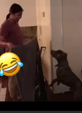 #hahaha 