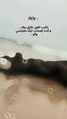 خايب نكون عايق بيك ..  و أنت إصحاب ليك مفراسي والو ..  #fyp 