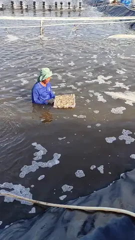 mọi người cho ý kiến về hoàn cảnh này...?😭🦐🦐🦐