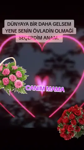 #ureylerimm😍❤️ 