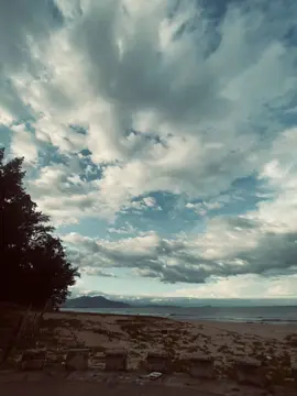 多话想说,但最终都汇聚成一声叹息。 