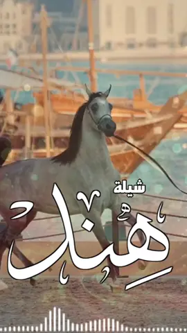 اطلق شيلة مدح باسم هند يا هند يا نور القمر جديده 2025#السعوديه🇸🇦#الكويت🇰🇼 #قطر_الدوحة🇶🇦 #البحرين🇧🇭 #الامارات#-للطلب_الشيلات_والزفات_التواصل_معنا_وتساب_من_داخل_المملك-شيلات_زفات_تخرجات_مواليد_عقد_قرآن_مولوده_مولود شيلات الخروج من_الاندين ظظة سجن_شيلات_خروج - بسلامه - شيلات -شفاءوسلامه_شيلات_تقاعد_تخرج_ملازم_تخرج_عسكري_تخرج_من_الدفاع_المدني_الكويت_قطر_السعوديةالامارات_البحرين_الكويت_الرياض_المدينه_ابها_شيلات_حماسيه_طرررب_شيلات_عرسان_شيلات_ام_العروس_شيلات_ام_العروسه_شيلات_خطوبه_زفات_بالاسماء_ز فات_بدون اسماء - كتابة كلمات_جديدة 0545069083 966من- خارج- المملكه-0545069083 #استديو_اللمسه-الماسيه_لتنفيذ_الشيلات_والزفات والقصائدالشعريه_لجميع_المناسبات_شيلات_مهنا_العتيبي_فهد_العلي_النايف_فواز_العنزي_شيلات_بنت_ابوها_شيلة_شامخه_بنت_ابوها_الرياض_جده_مها_شيلة_شامخه_بنت_ابوها_الرياض_جده_مكه_المكرمه_ابها_قطر_البحرين_الكويت_الامارات_شيلات_سعد_محسن_شيلات_ناصر_السيحاني_شيلات_عز_السعود_شيلات_قايد_الوبيري_2024_شيلات_فلاح_المسردي_شيلات_الجف راني شيلات البندر_بن_عوير_فهد_بن_فصلا_محمد_بن_غرمان_جديد_كتابة_كلمات_جديدة_0545069083_من_خارج_المملكه0545069083_استديو_الزينه#للطلب_الشيلات_التواصل_معنا_وتساب_من_داخل_المملك_شيلات_زفات_تخرجات_موال-بسلامه-شيلات-شفاء_وسلامه_شيلات_تقاعد_تخرج_ملازم_تخرج_عسكري_تخرج_من_الدفاع_المدني_الكويت_قطر_السعودية_الامارات_البحرين_الكويت_الرياض_المدينه_ابها_شيلات_حماسيه_طرررب_شيلات_عرسان_شيلات_ام_العروس_شيلات_ام_العروسه_شيلات_خطوبه_زفات_بالاسماء_زفات_بدون_اسماءكتابةكلمات_جديدةء_زفات_بدون_اسماء_كتابة_كلمات_0545069083من_خارج_المملك-0545069083استديو_اللمسه-الماسيه_لتنفيذ_الشيلات_والزفات_والقصائد_الشعريه_لجميع_المناسبات_شيلات_مهنا_العتيبي_فهد_العلي_النايف_فواز_العنزي_شيلات_بنت_ابوها_شيلة_شامخه_بنت_ابوها_الرياض_جده_مكه_المكرمه_ابها_قطر_البحرين_الكويت_الامارات_شيلات_سعد_محسن_شيلات_ناصرالسيحاني_شيلات_عز_السعود_شيلات_قايد_الوبيري_2024_شيلات_فلاح_المسردي_شيلات_الجفراني_شيلات_بندر_بن_عوير_فهد_بن_فصلا_محمد_بن_غرمان_جديد_كتابة_كلمات_جديدة_من-خارج_المملكه0545069083#للطلب_الشيلات_والزفات_التواصل_معنا_وتساب_من_داخل_المملكه-شيلات_زفات_تخرجات_موالید_عقد_قرآن_مولوده_مولود_شيلات_خروج_من_السجن_شيلات_خروج-بسلامه_شيلات-شفاء_وسلامه_شيلات_تقاعد_تخرج_ملازم_تخرج_عسكري_تخرج_من_الدفاع_المدني_الكويت_قطر_السعودية_الامارات_البحرين_الكويت_الرياض_المدينه_ابها_شيلات_حماسيه_طرررب_ شيلات_عرسان_شيلات_ام_العروس_شيلا ت_ام_العروسه_شيلات_خطوبه_زفات_بالاسما ء_زفات_بدون_اسماء -خارج_المملكه- ع_المناسبات_شيلات_مهنا_العتيبي_فهاد_ العلي_النايف_فواز_العنزي_شيلات_بنت_ابوها_شيلة_شامخه_بنت_ابوها_الرياض_جده_مكه_المكرمه_ابها_قطر_البحرين_الكويت_الامارات_شيلات_سعد_محسن_شيلات_ناصر_السيحاني_شيلات_عز_السعود_شيلات_قايد_الوبيري_2024_ شيلات_فلاح_المسردي_شيلات_الجفراني_شيلات بندر بن عوير_فهد_بن_فصلا_محمد_بن_غرمان_جديد_كتابة_كلمات_جديد