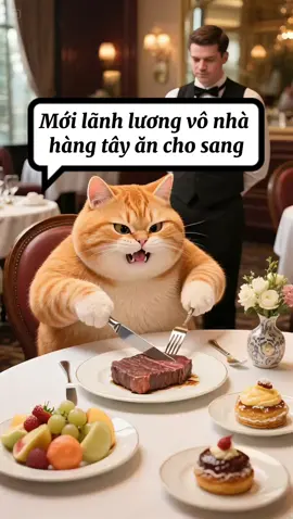 Meow mới được lãnh xiền lương nên ăn sang một bữa nhe mn 🇻🇳. #xuhuong #vietnam 