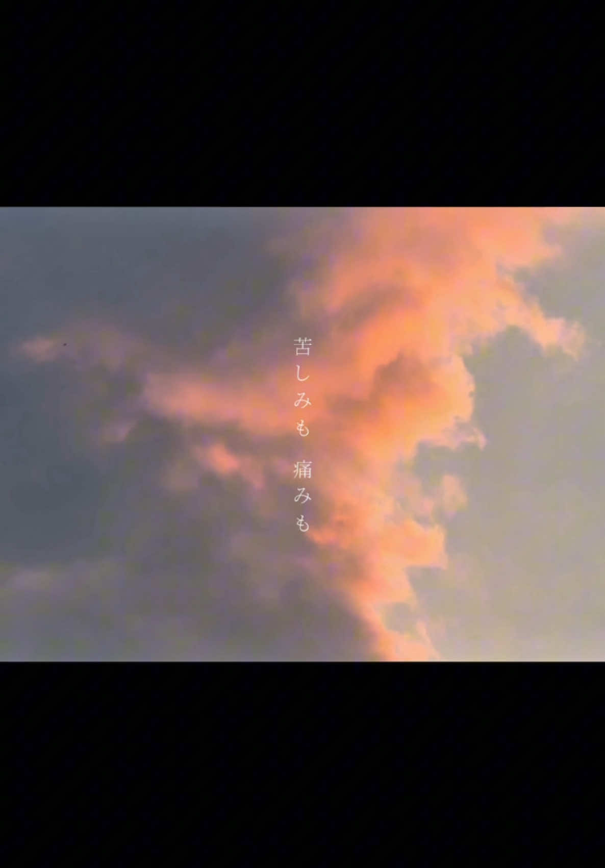 愛しいあなたに届け祈り花 #祈り花 #平井大 #弾き語り #cover 