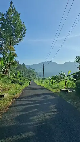 Alam pesawahan yg indah #natural #explore 