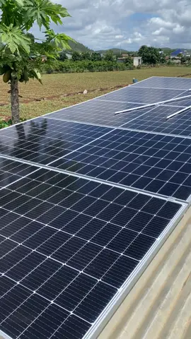 Chuyên mục đạp mái