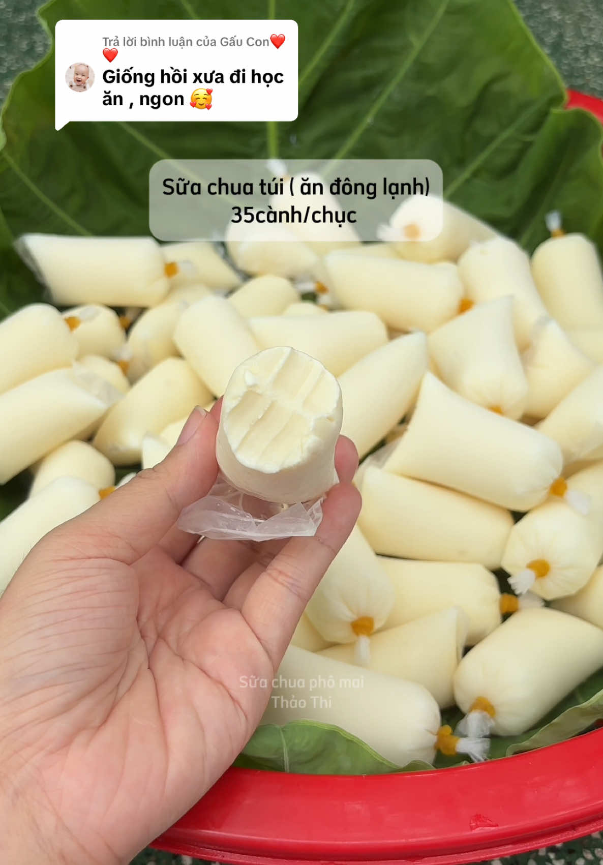 Trả lời @Gấu Con❤️❤️ sữa chua túi nguyên chất nhà em, bao đặc dẻo ạ#suachua #nauancungtiktok #trending 