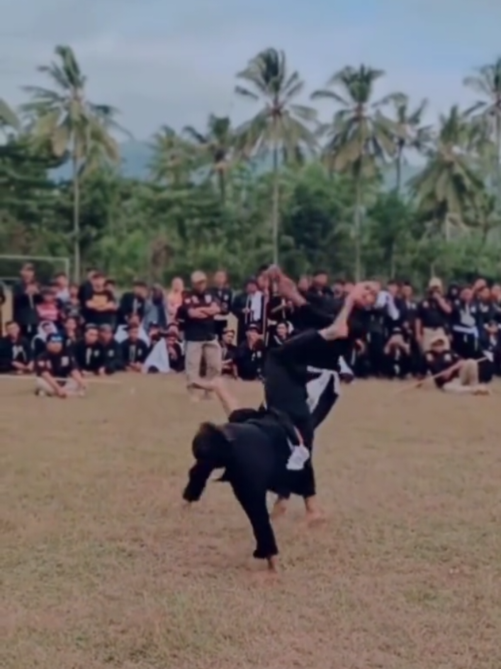 #atlitjember B double merre#rantingpanti #pshtpusatmadiun #psht #pshtpusatmadiun #jembertiktok 