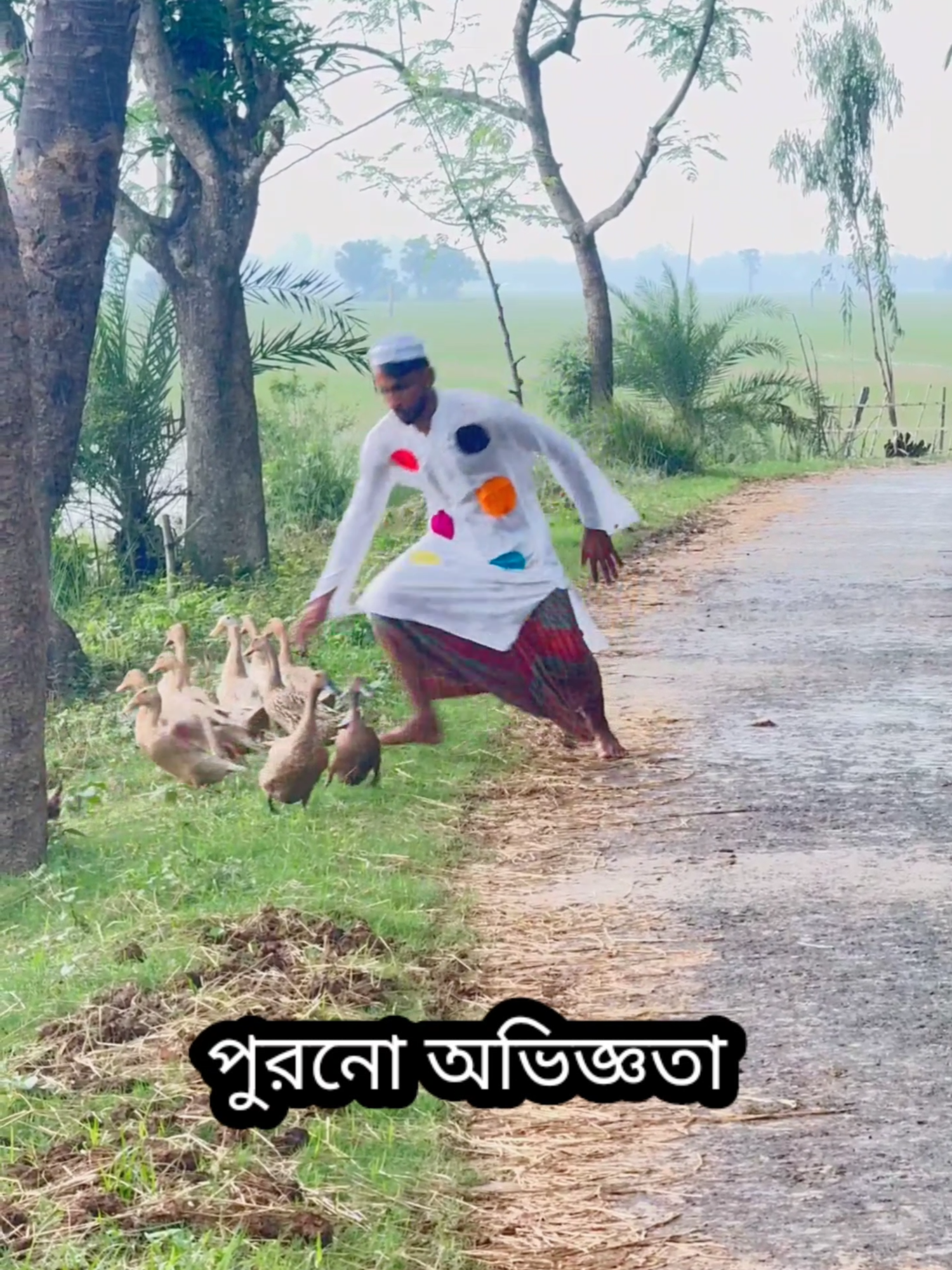 হাঁস চুরি পুরনো অভিজ্ঞতা 😁 $$Local Janota #হাঁস #চুরি #local_janota #everyone #reelsvideoシ #tiktok #you