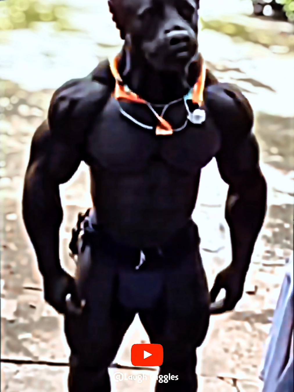 Dog Man #fypシ #comedy #viral #dogsoftiktok 