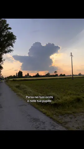 #perte 