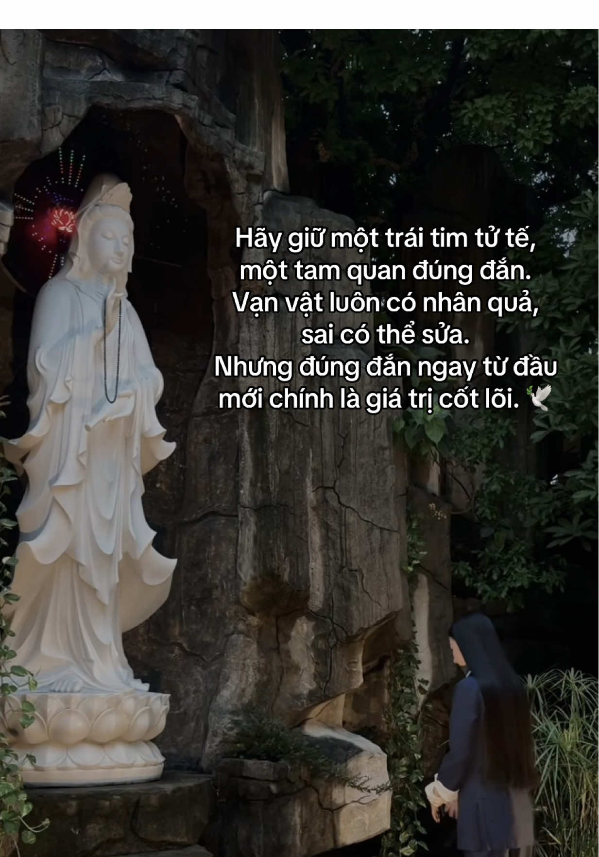 Mang đôi dép trái đi đã thấy bàn chân khó bước. Mang tâm bất thiện vào đời làm sao được thảnh thơi. Mong người đi đâu làm gì cũng luôn nhớ gìn giữ trái tim mình tử tế lương thiện.  #hoatulien #phatphapnhiemmau #phatphap #chuathienquang #fyp 