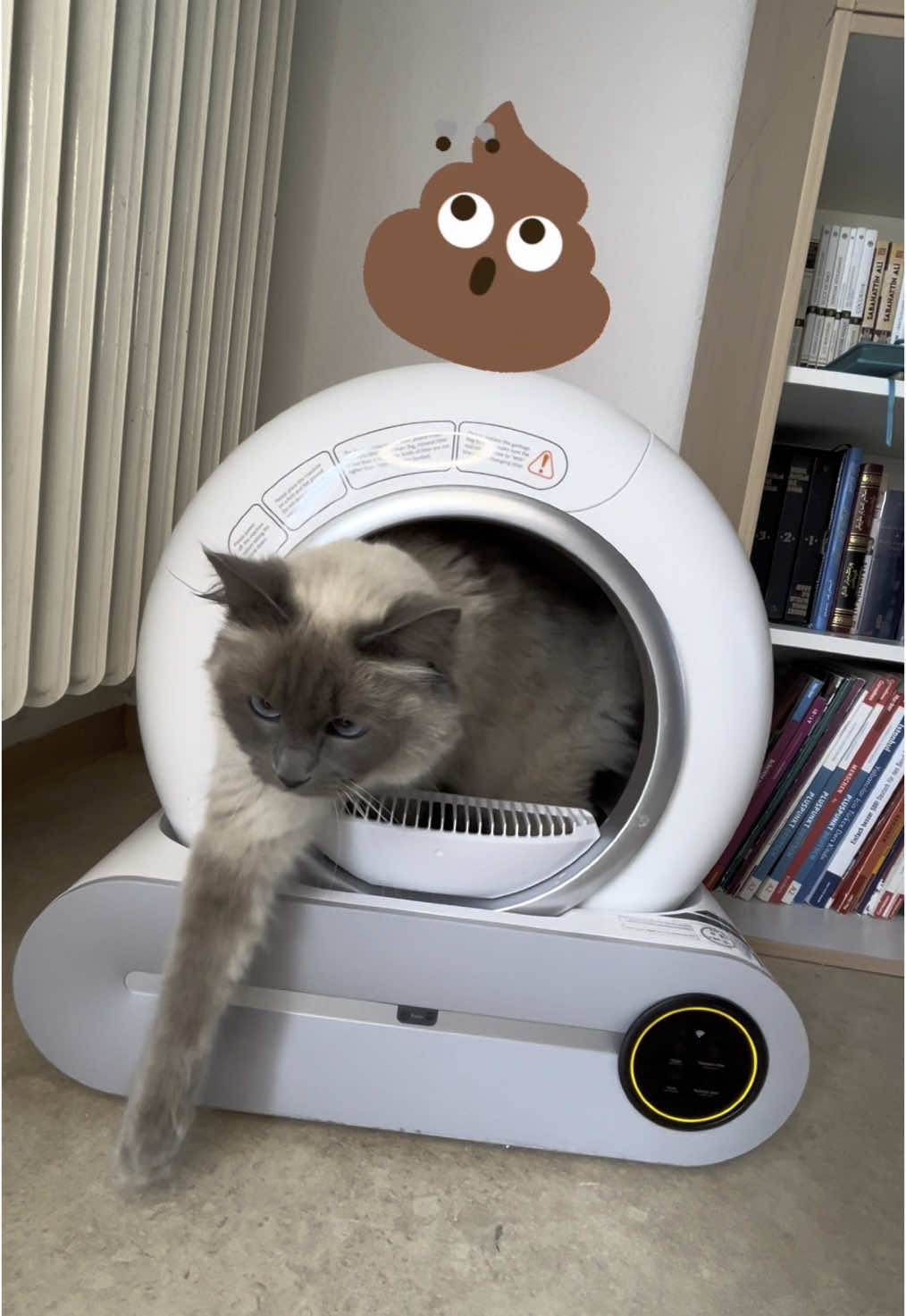 If you have a pet and want to get rid of unpleasant odors, this product is just what you need! It’s completely safe for all living beings and keeps your environment fresh, clean, and odor-free at all times. #morrerfresh #cats #dogs 
