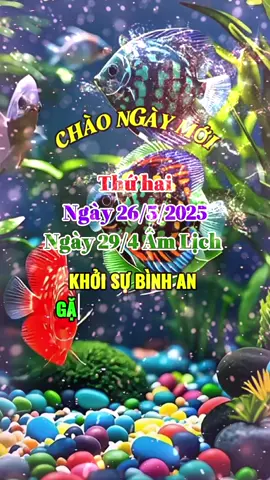 Chào Ngày Mới #ngaymoivuive 