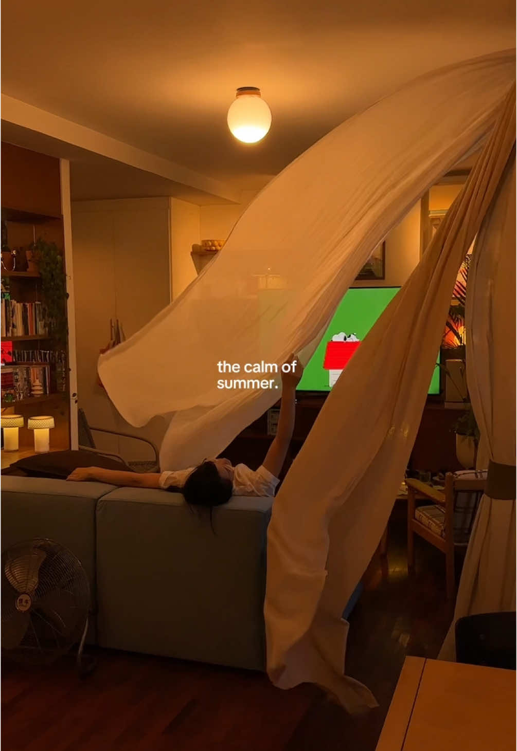 a quiet room, a warm breeze, and the calm of summer.𖤓 ｡𖦹°‧ ⋆☀︎. #homedecor #Home #vibe #cozy #aesthetic #room #fyp  #creatorsearchinsights 