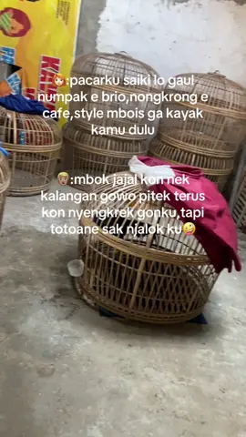 mbok kon njajal ndang kene🤪🤪 #botohayam #ayampakhoy #ayampama #salamaatuhoby🐓🐓🐓 #fyppppppppppppppppppppppp 