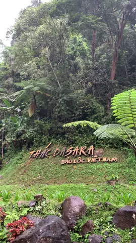 Thời gian trôi qua nhanh quá mới chớp mắt 1 cái mà mình đã 18 tuổi rồi 🥲🥲#nhachaymoingay #mientayquetoi #năng_lượng_tích_cực #62longan❤️_chàomoinguoii #62longan #