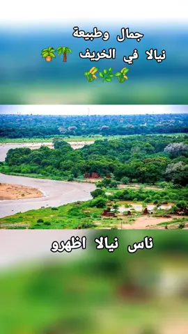 جمال وطبيعة نيالا في الخريف 🌴🪴🌱🌿🌾 #مدينةنيالا#نيالا_البحير_غرب_الجبيل_نيالاتنا🇸🇩 #الضعين_نيالا_الفاشر_زالنجي_الجنينة 