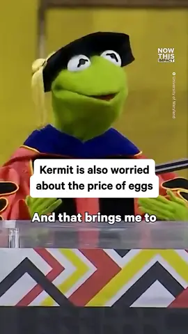 Kermit Understands the Egg Struggle