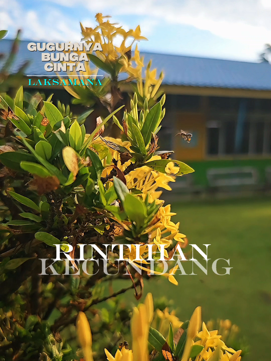 HIMPUNKAN SEMUA KEMAAFAN,DENGARKAN OH RINTIHAN GUGURNYA BUNGA CINTA LAKSAMANA LAGU JIWANG 80AN 90AN SLOWROCK ROCK KAPAK POPROCK 80AN 90AN #Wanza #slowrock_90an #foryoupage #fyp #malaysia #indonesia #singapore #lagujiwangterbaik80an90an 