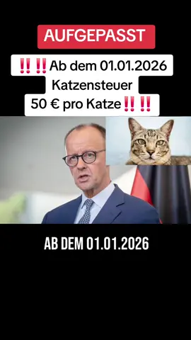 #nachricht #fyy #fyppppp #fypppppppppppppp #berlin #köln #eilmeldung #hamburg #fyyyyyyyyyyyyyyyy #foryuopage #kinder #germany🇩🇪 #deutschland #motorrad #führeschein #kinder #nachricht #fyy #fuppppppppppppppppppppppppp #news #deutschlandtiktok #fürdich #fürmich 