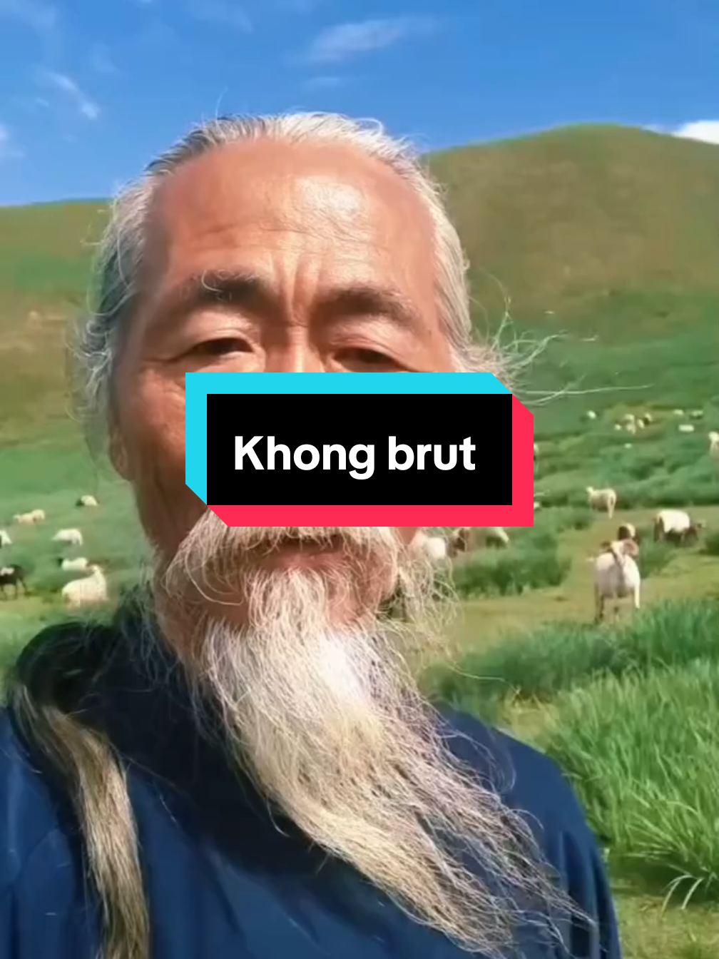 sifuu 🙇🫸🤛#memedubbing #justkonten #spinjitzu #sifuu @sensei_wu010 