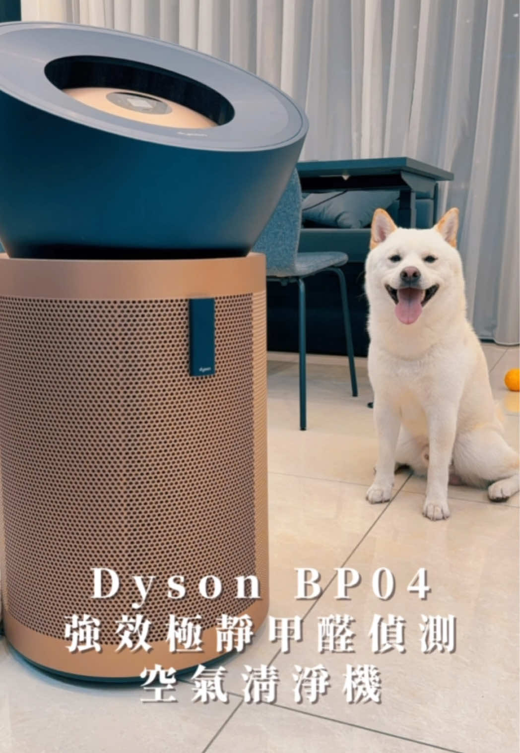 養柴犬 輕輕鬆鬆 有史上最強效能 最安靜 最適合寵物家庭 Dyson BP04 強效極靜甲醛偵測空氣清淨機 過濾皮屑、浮毛和異味，不打噴嚏、減少過敏 能夠大口呼吸真的是「舒舒服服」   ✨三層過濾系統 ✦第一層：HEPA 13 玻璃纖維濾網 ，有效捕捉99.9%細菌、病毒、過敏原，和 99.95% 小至 PM0.1的超細微粒，而且還可以使用五年!!! ✦第二層：獨家富鉀碳濾網，可消除揮發性有機化合物，能吸附97%氣味，捕捉寵物氣味和皮屑，家裡有小孩或毛孩超適合！ ✦第三層：獨特催化濾網可完全將甲醛分解成水及二氧化碳 (CO₂) ✨氣流聚合技術 讓兩股氣流在平滑表面上碰撞，產生強勁壓縮氣流，實現遠距離噴射 最長噴射距離遠至10公尺，可淨化30坪大空間。 ✨超靜音設計 最大風速下只有56分貝，睡眠模式下也只有38分貝，比圖書館還安靜，完全不會吵到我們睡覺。   ——𝑰 𝑵 𝑭 𝑶—— @dyson #dysonTW #dysonpurifierFormaldehyde #BigandQuiet #強效極靜甲醛偵測空氣清淨機 #BP04 #寵物幼兒友善     #糯米腸 #蔡長青 #騙你養柴犬 #柴犬 #Shiba #Shibastagram #Whiteshiba #肉米藏 #挽肉米藏  