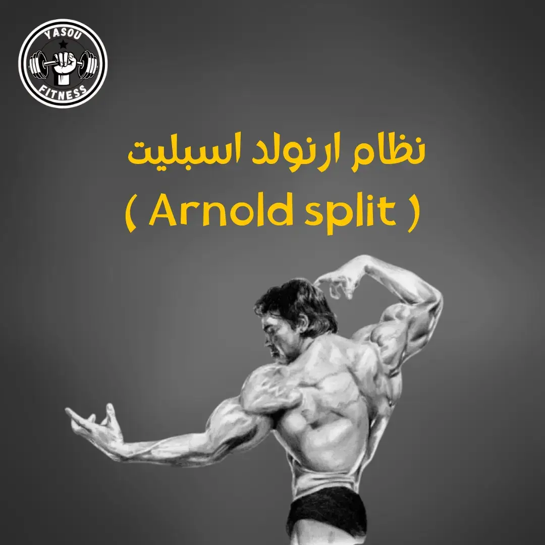 #creatorsearchinsights #تضخيم_عضلات #تمارين #تمارين_رياضية #جيم #sciencebasedtraining #sciencebased #gym #musculation #hypertrophy #bodybuilding #workout #شعب_الصيني_ماله_حل😂😂 #gymdz #gymdzair🇩🇿 #ارنولد_شوارزنيجر #arnold #training #نظام_تمرين 