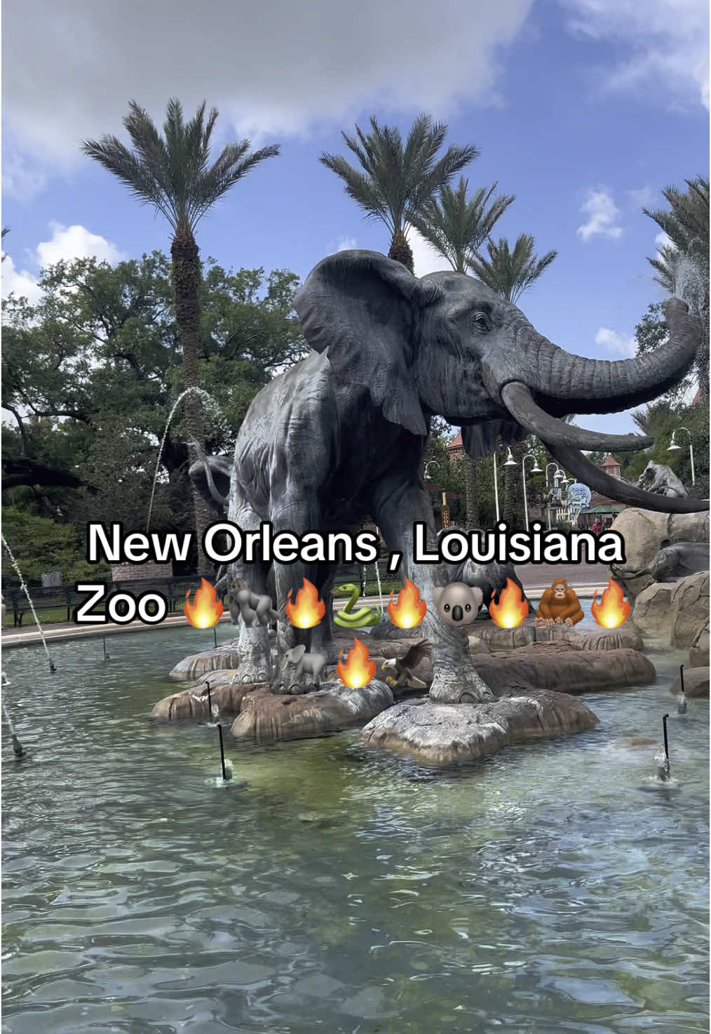 New Orleans Zoo Is 10/10 🔥🔥🔥🔥🔥🔥 #fyp #foryoupage #explore #zoo #animals #louisiana #comedian 