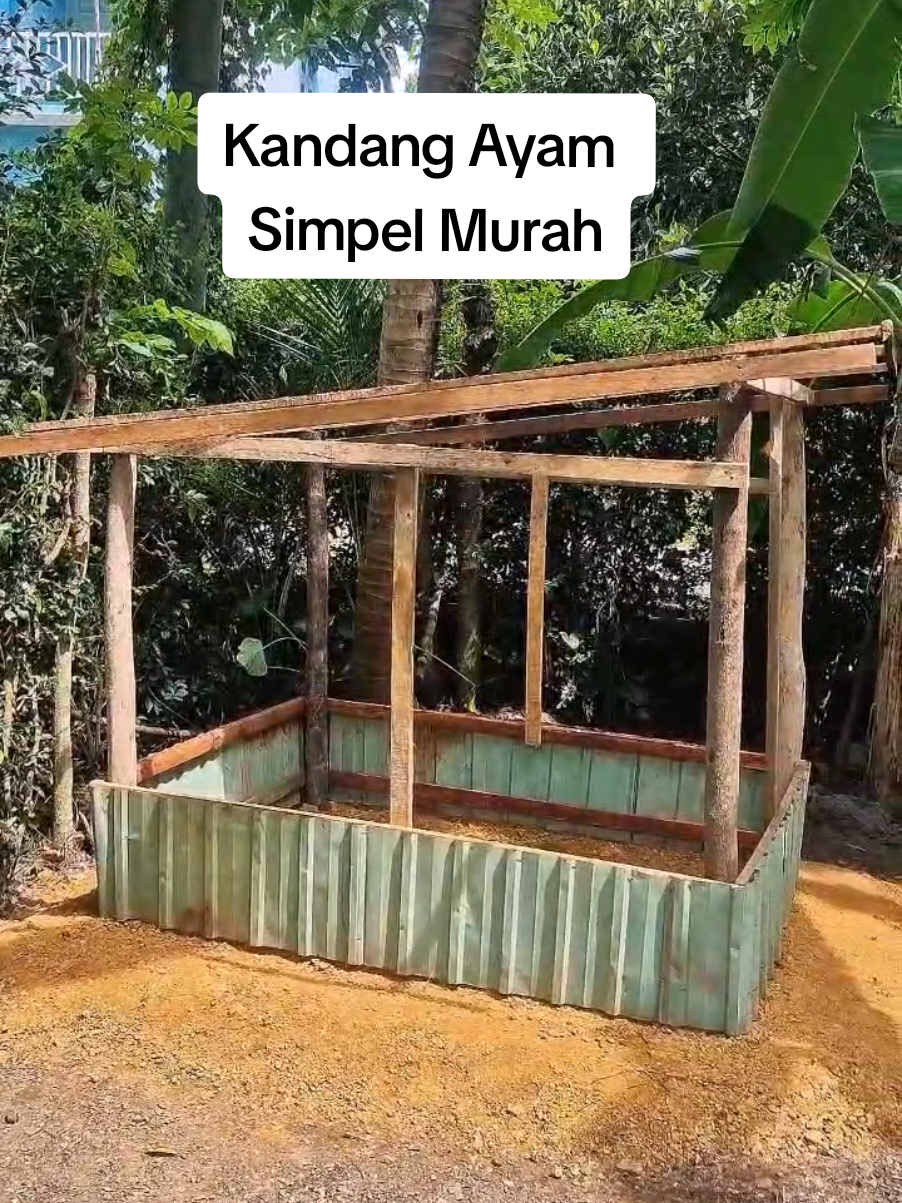 Membalas @wwww_ilham Bangun kandang ayam minimalis low butged. Tapi masih binggung mau ternak ayam apa? #crafts #peternakpemula🙏🙏 #belajarternak #disatfarm #kandangumbaran #kandangayamminimalis #bangunkandangayam #tutorialbiatkandangayam #ayamelba #ayamkub #ayamkampung #ayampetelur