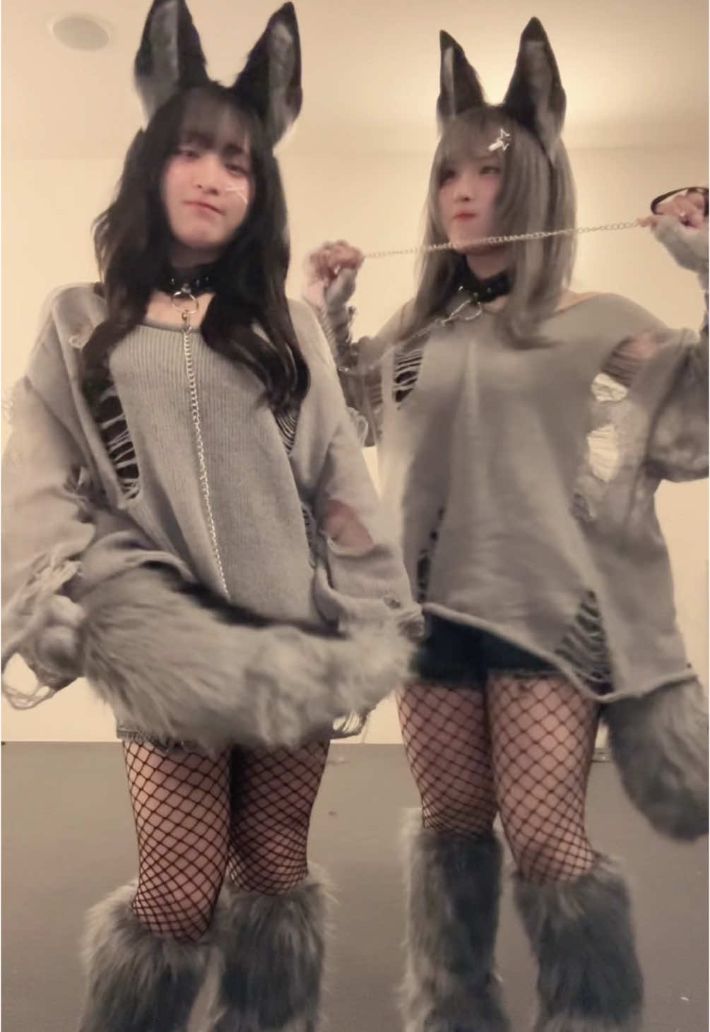 たべちゃうぞー🐺⚡️#fyp #おすすめ #狼 #アニマル 