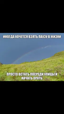 о как #щитпостинг #рек 
