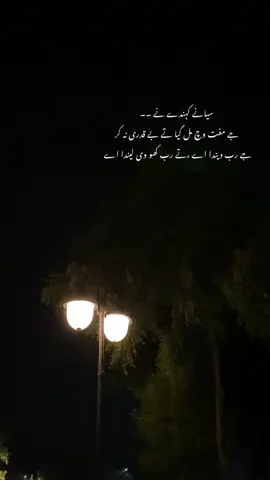 جے رب دیندا اے تے،تے رب کھو وی لیندا اے 🥀🫶🏻🕊️#repost #fypシ゚viral🖤tiktok #urdupoetry #viralmyvedio 