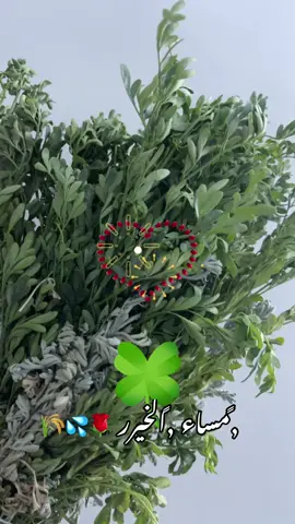 #كسسسسسسبلوور♡✿🌹✔ #🌺🍃🌺🍃🌺🍃🌺🍃🌺🍃🌺🍃🌺🍃 