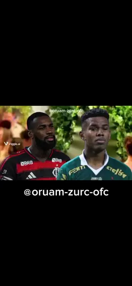 Palmeiras X Flamengo