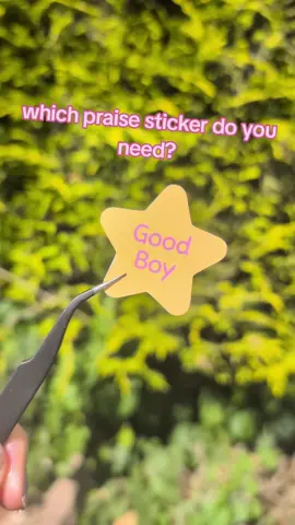 comment suggestions for more stickers 🩷 #goodgirl #praise #whichone 