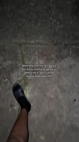 #paratii 