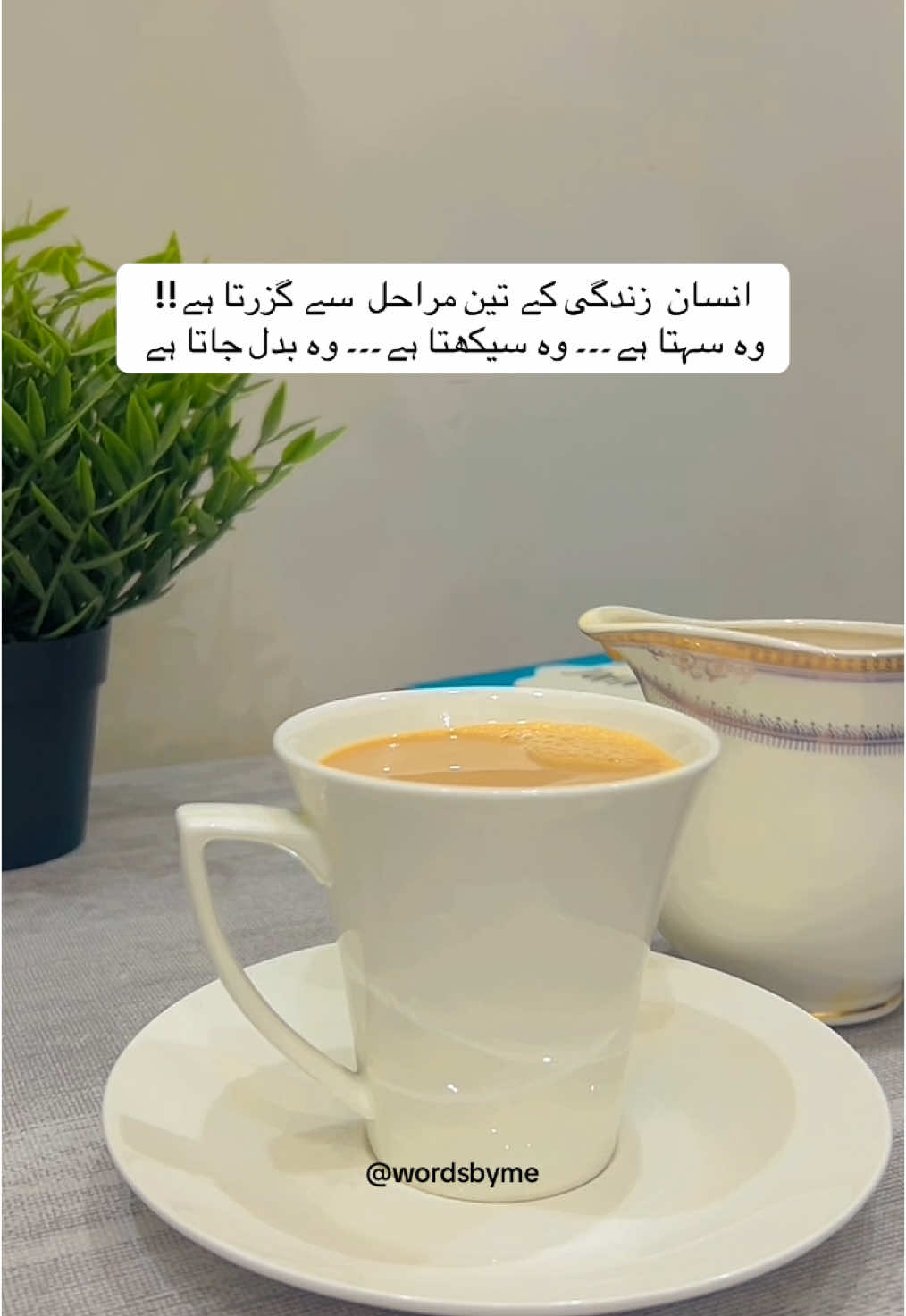 CHAI LOVERS 🍂 انسان زندگی کے تین مراحل سے گزرتا ہے!! وہ سہتا ہے ۔۔۔۔۔۔ وہ سیکھتا ہے ۔۔۔۔۔ وہ بدل جاتا ہے۔۔۔ #fyp #fypシ゚ #fyp #fy #foryou #foryoupage #viralvideo #trending #chai #tea #tealover 