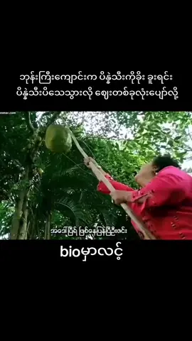 #ပိန္နဲသီးသရဲကား#flypシ #tiktokviral #CHMovies#ရောက်ချင်တဲ့နေရာရောက်👌 