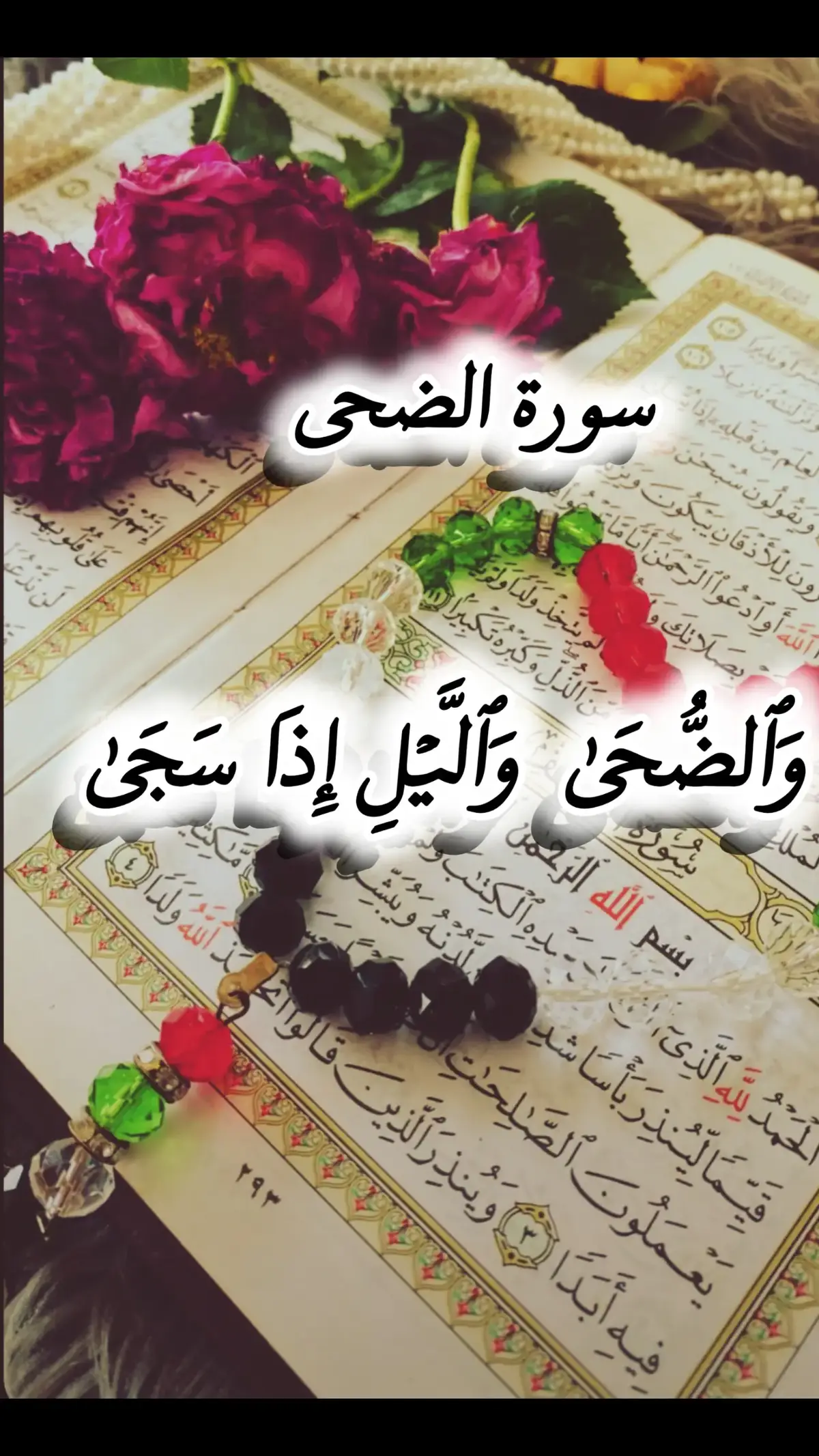 #الضحى_واليل_ااذاسجى #القارئ،الكردي #parati #quran_alkarim #قران_كريم #تلاوه_خاشعه #القارء_ملا_بكر 