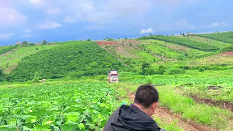 Phải có tí nhạc mới lên được ✈️🚛🍓🍆🥬🥕#vuaraungocphat#hino500#kenbasuri#xerau49lamdong☘️🚛🚛 #xuhuongtiktok2025 